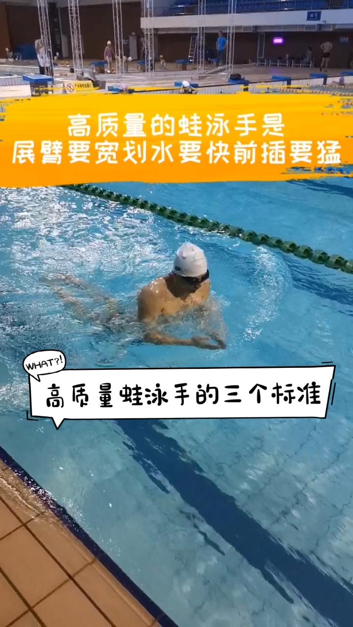 PG电子-荷兰游泳好手表现出色取得突破的简单介绍